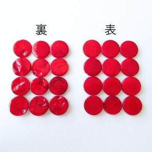 画像3: 【3/25 午前11時予約開始】5/28(木)「シェルフラワー〜ブローチ」by 小沼 美紀