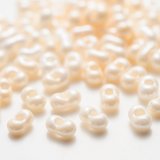 マツノ Peanut L シェルカラー