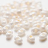 マツノ Peanut L シェルカラー