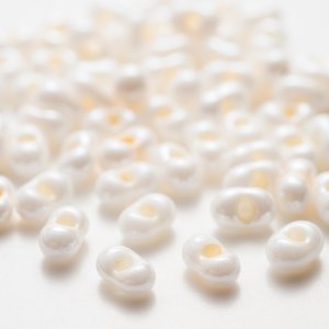 画像1: マツノ Peanut L シェルカラー