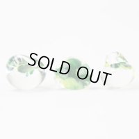 ティアドロップビーズ  ジャンボ 【Alocasia】