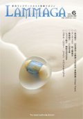 LAMMAGA(ランマガ)　Vol.6 2009年冬号＜DM便送料無料＞【お試し価格】