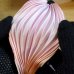 画像2: シルク絞りリボン ピンクブラッシュ Pink Blush 【地色：パステルピンク】12cm現品限り (2)