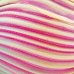 画像1: シルクツイル トロピカルピンクボレアリス Tropical Pink Borealis【地色：ピンク】15cm 現品限り (1)