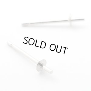 画像1: Pt ピアス 直結M　ポスト(ピアス針芯立・皿付) / シリコンキャッチセット