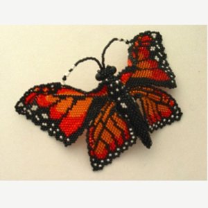 画像1: 【50%OFF】Monarch Butterfly