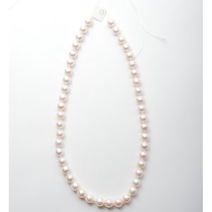 画像5: 【両穴】アコヤ真珠（バロック / ホワイト / 8mm UP）1個〜