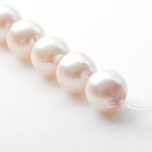 画像6: 【両穴】アコヤ真珠（バロック / ホワイト / 8mm UP）1個〜