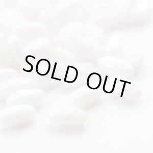 画像: 【Bead Art 掲載】リゾ　チョークホワイトABマット