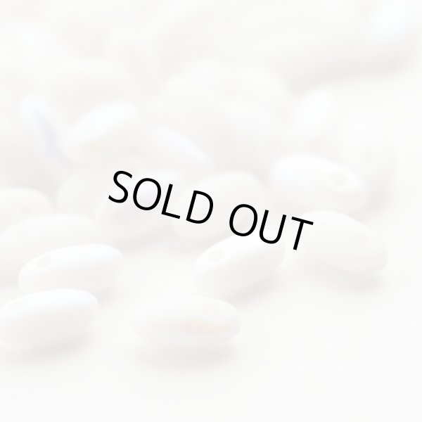 画像1: 【Bead Art 掲載】リゾ　チョークホワイトABマット (1)