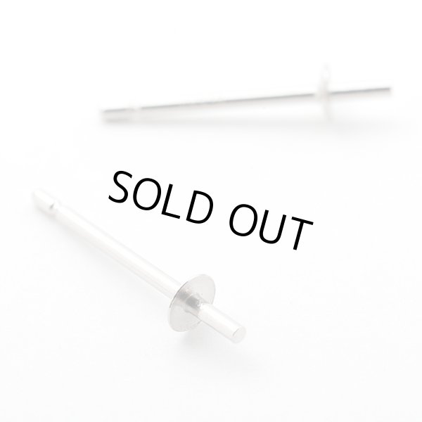 画像1: Pt ピアス 直結M　ポスト(ピアス針芯立・皿付) / シリコンキャッチセット (1)