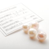 画像: 【片穴】アコヤ真珠（ラウンド / ホワイト / 7.5mm UP）１個